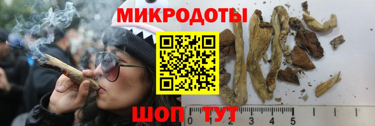 Гатчина  Псилоцибиновые грибы мицелий  купить  цена  Вход с VPN 