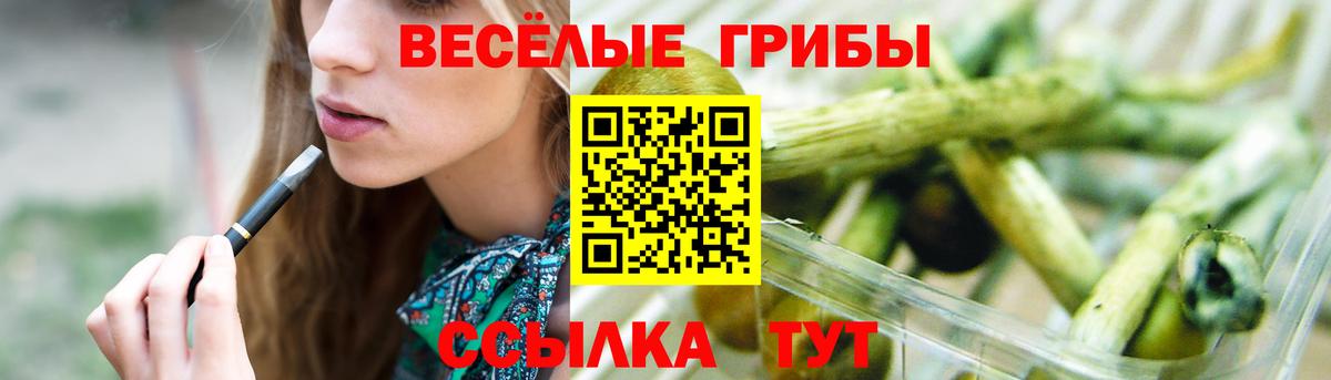 Галлюциногенные грибы Psilocybine cubensis Гатчина